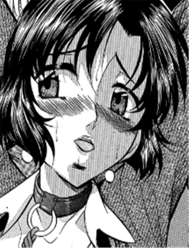 [鬼姫] 交姦 /></a></div><a class=